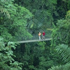 200143319-001
couple, hiking, jungle, canopy
Costa Rica, La Fortuna, Arenal Hanging Bridges